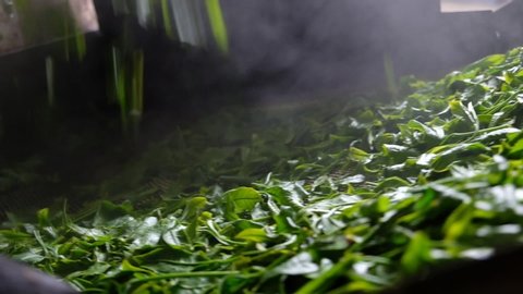 A key difference between Japanese green tea and Chinese green tea is Japanese tea leaves are steamed after being harvested. The purpose of the steaming is to prevent the leaves from being oxidized.