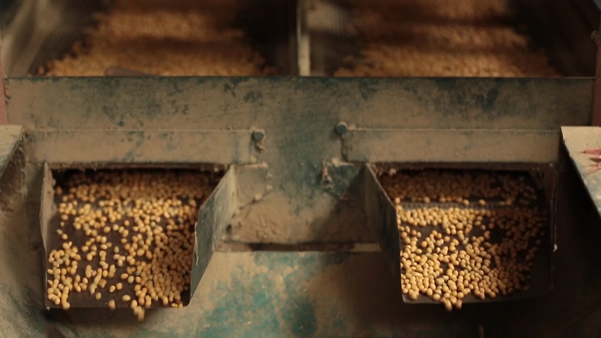 Soybean in a Factory
Soybean on a machine Royalty-Free Stock Footage #1029646103