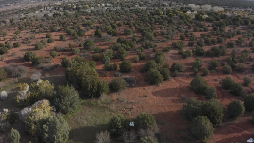 Aerial Tilt Reveal of Red Rock Landscape with Shrubs and Distant Mountains in Sedona Arizona