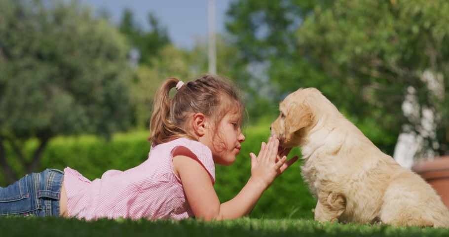 Slow motion of little girl lying on the lawn of a garden is cuddling and kissing a puppy of golden retriever dog. Royalty-Free Stock Footage #1029656552