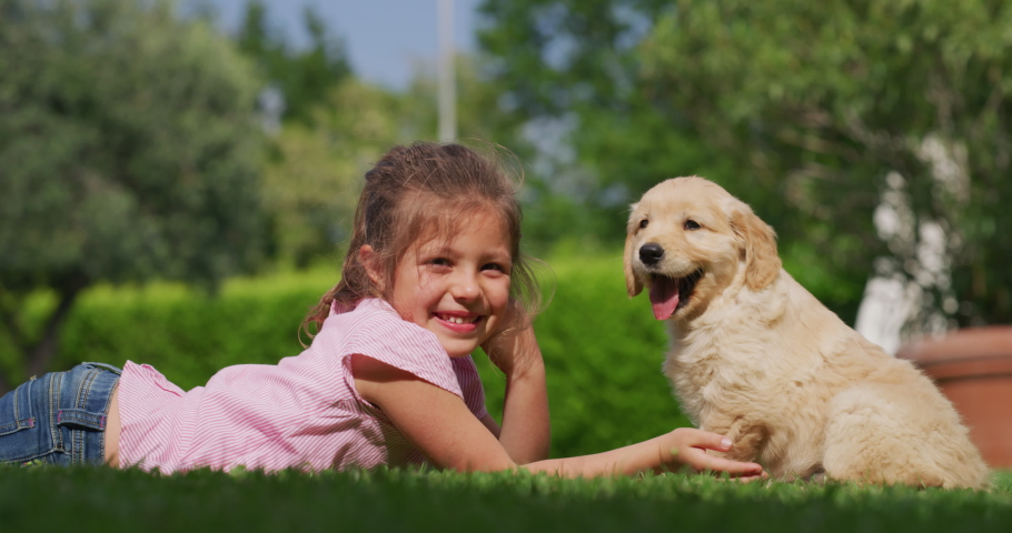 Shutterstock video thumbnail