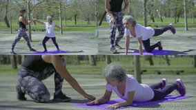 Collage of pretty young woman in black sweatshirt training smiling middle-aged woman with grey hair in park, latter doing different stretching exercises on purple mat. Sport concept