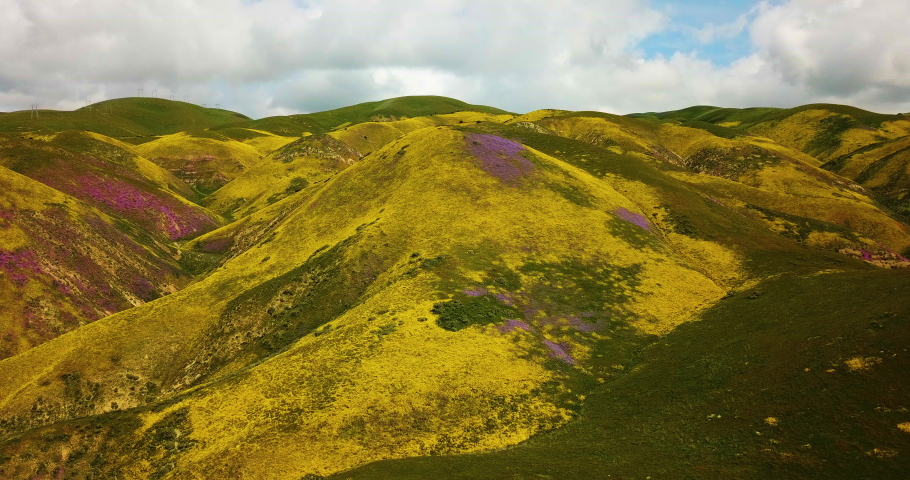 California Wildflower Superbloom Carrizo Aerial