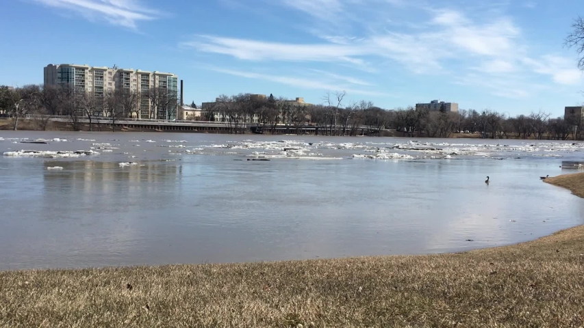 Ice moving downstream on Red River. Panning view on Saint Boniface (Tache Ave, Winnipeg, Manitoba) from Forks.