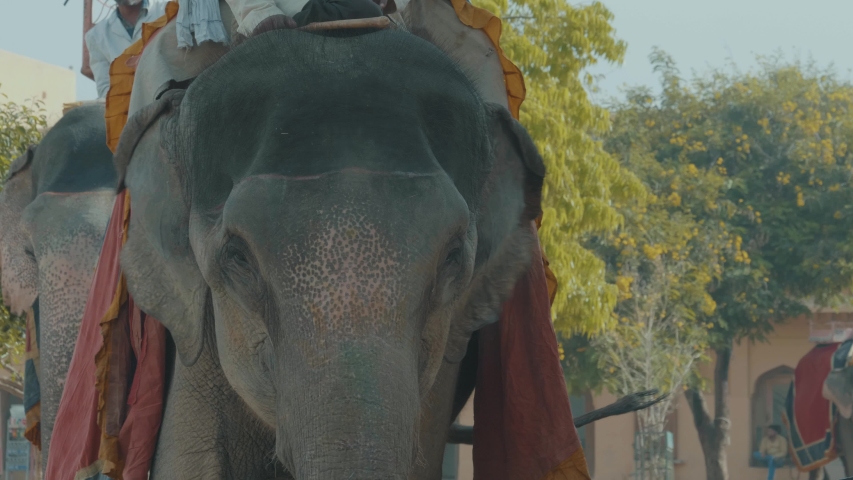 Close up of a huge elephant being rode by a person as an attraction through the gates of Amer Fort, Jaipur covered in colorful paint