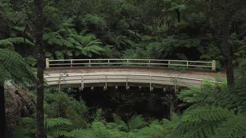 Amazing curved wooden vehicle bridge above a small valley creek, 1hr drive from Melbourne, Victorias' high country, tall trees & leafy green ferns, natural forest, drone, zoom out, Australia, 4k