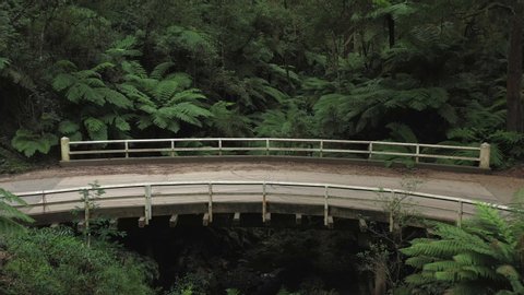 Amazing curved wooden vehicle bridge above a small valley creek, 1hr drive from Melbourne, Victorias' high country, tall trees & leafy green ferns, natural forest, drone, zoom in, Australia, 4k