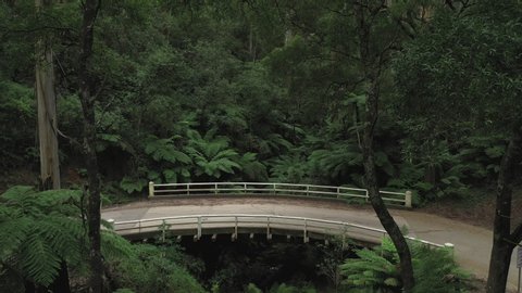 Amazing curved wooden vehicle bridge above a small valley creek, 1hr drive from Melbourne, Victorias' high country, tall trees & leafy green ferns, natural forest, drone, static, Australia, 4k