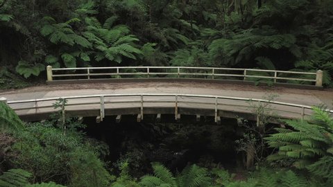 Amazing curved wooden vehicle bridge above a small valley creek, 1hr drive from Melbourne, Victorias' high country, tall trees & leafy green ferns, natural forest, drone, pan, Australia, 4k