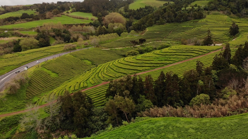 Side way flight above the road to the plantation