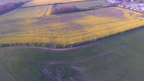 Flying over beautiful yellow fields as the sun slowly sets.