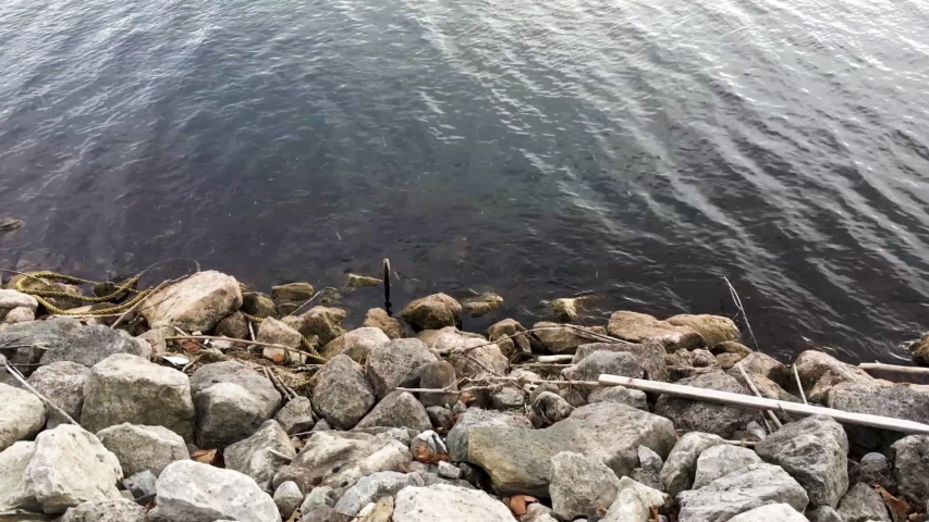 Lake Ontario rocks and calm water. Light snowflakes falling. Stationed camera.