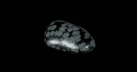Snowflake Obsidian Stone on Black
