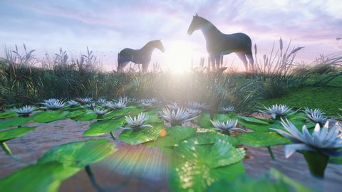 Стоковое видео: Two young horses graze on a picturesque green meadow near a beautiful pond on a beautiful spring morning lit by the Golden rays of the morning sun. Looped realistic 3D animation