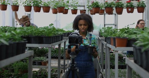 Medium shot of female gardener talking to camera and showing pot plant