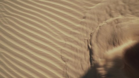 Unrecognized male legs walking on hot desert sand 4k