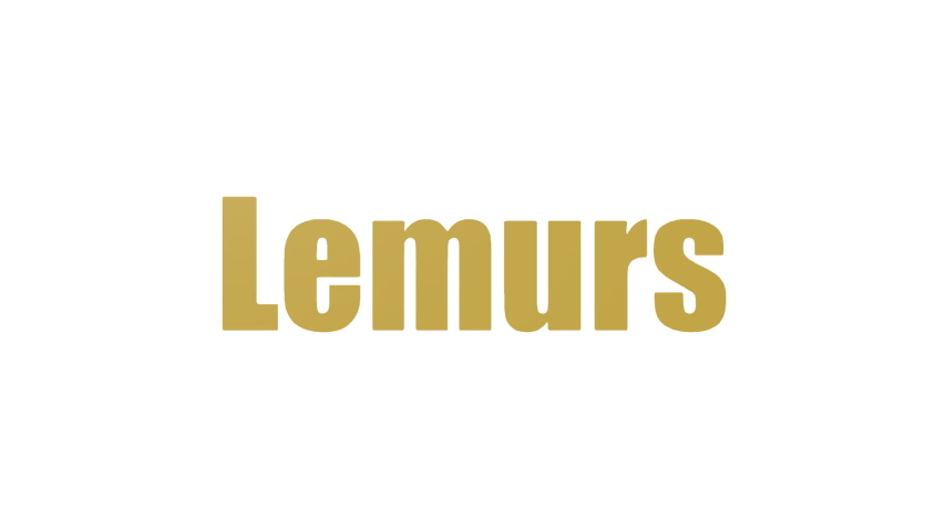 Lemurs Tag Cloud Animated Isolated