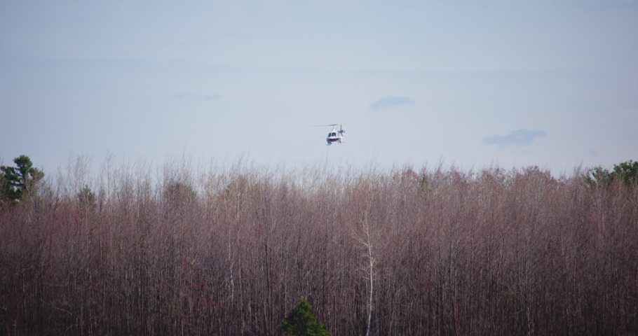 Helicopter go up and forward over forest at spring time.