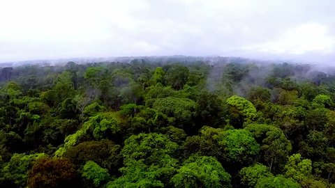 Jungles of Africa. The camera flying over the rain-forest. Beautiful landscape. The evaporation of moisture in the rain-forest of Africa. Shooting from the air over the tropics. Equatorial Guinea.