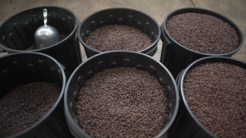 Nuts in the plastic buckets