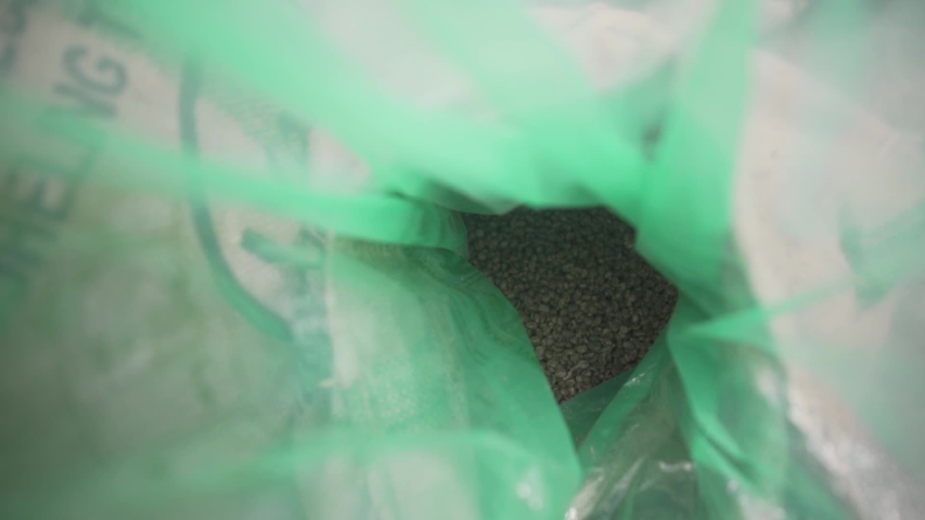 Nuts in the plastic bag