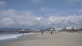 Flying seagull on the beach in Santa Monica, California