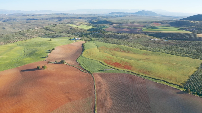Aerial view of a cereal field with a farm