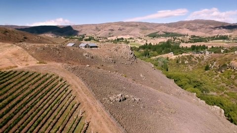 Flying over a beautiful vineyard in the hills of Central Otago, New Zealand on sunny summer day.