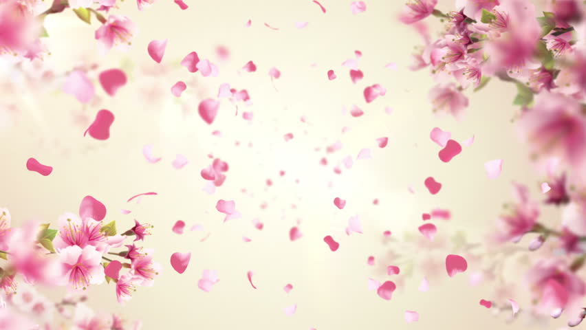 Animation of falling petals of sakura with flowers sakura waving on wind. Animation of seamless loop. Royalty-Free Stock Footage #10298402
