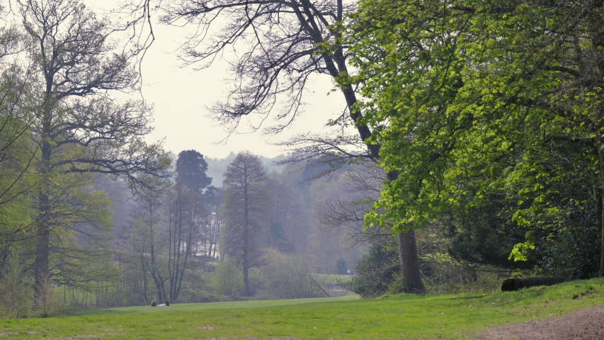 Moving 4k footage of an ornamental forest and walkway on the Surrey/Berkshire borders, catching the morning sunshine.