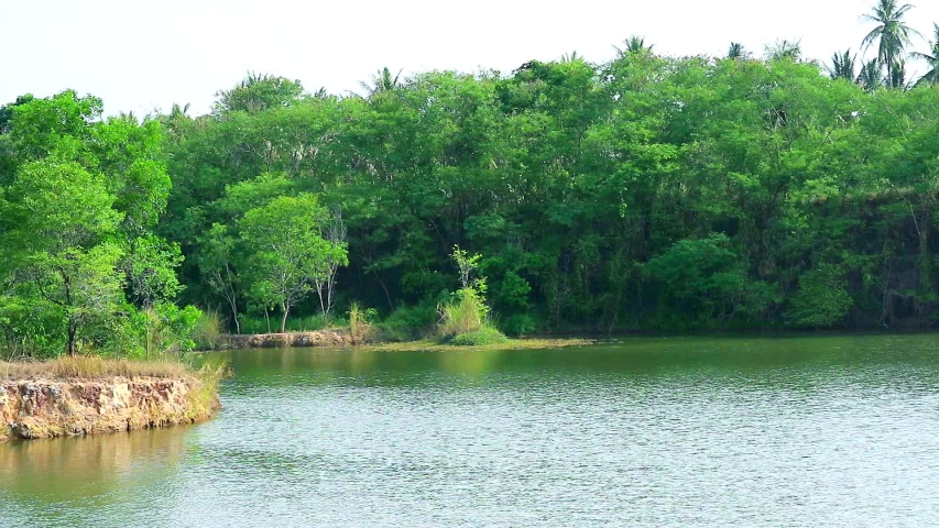 green trees all around lake and wave on water surface