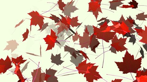 11,300+ Maple Leaf Stock Videos and Royalty-Free Footage - iStock 