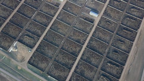 Cattle feedlot pens from high above