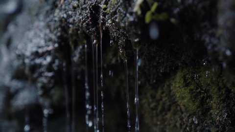 Water dripping down from green moss on a cold rock next to a waterfall