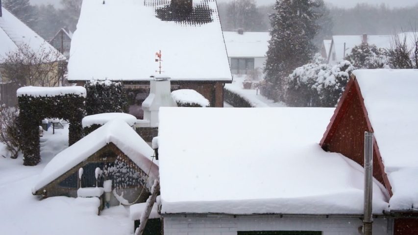 Heavy lake effect snowfall in a garden in Hamburg