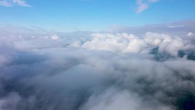 Flying over an amazing rain forest, aerial view above rain forest with fog at sunrise. 4K aerial video,