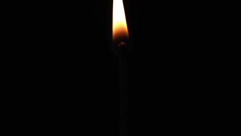 Igniting Match and Flame on a Black Background. 
