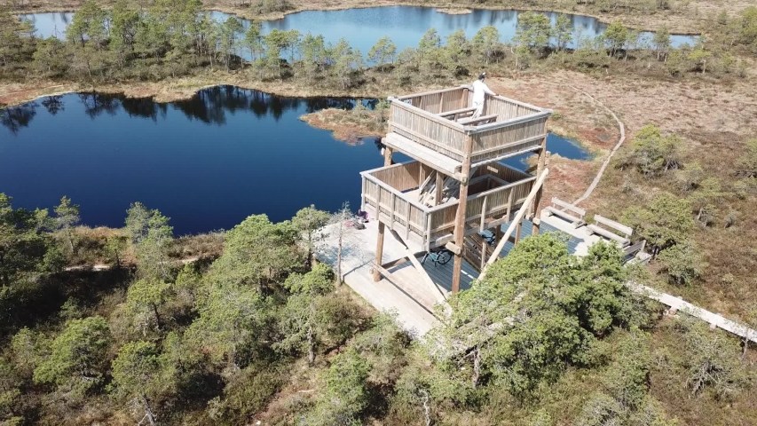 Spring Swamp, swamp lake and watchtower. Health walking.