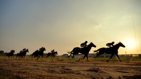 Video slow motion of horse racing at the racetrack, Group of jockey compete in horse races in slow motion, Horse riding competition in slow motion