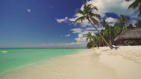 Exotic island. Coconut palm trees and tropical beach. Summer holiday on the Caribbean.