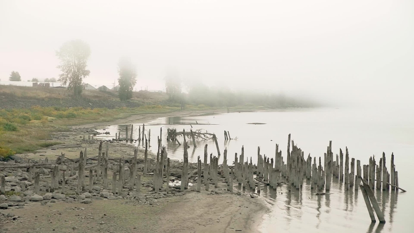 Fog hangs heavy over riverside beach with trees partially hidden from view in slow motion