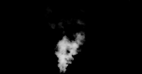 White Smoke Gradually Disappears. White vapor or smoke slowly rises upwards gradually dissolving. Excellent for simulating smoking pipes. For example, geysers, steam locomotives or steamers, etc.
