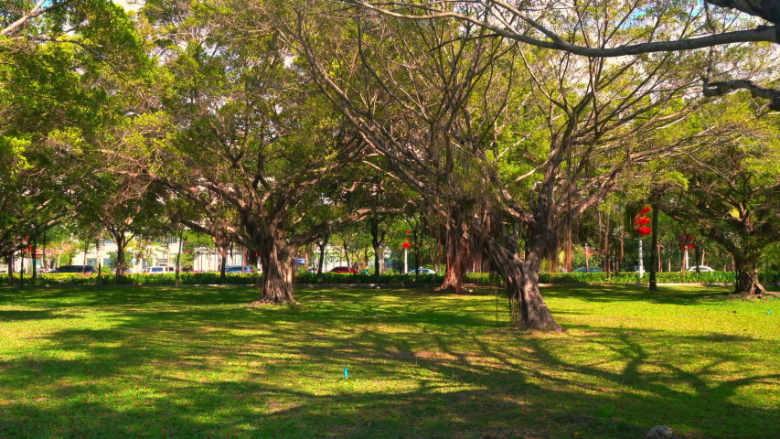 Beautiful Green Nature in Chinese Urban Park in Summer. Perfect Place to Rest with Family. Good Weather.