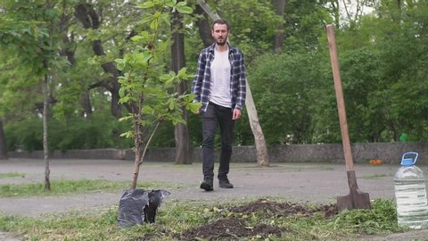 Young male with a shovel planting a tree in the city park