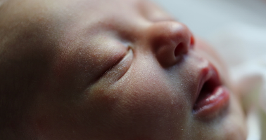 Close-up of newborn baby face portrait in macro