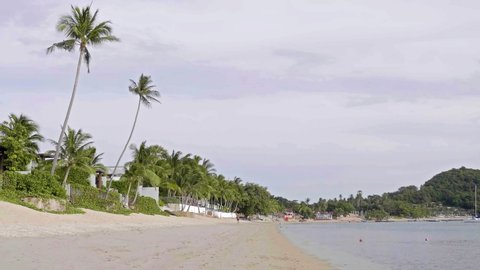 Footage Beach Amazing Palm Trees Background Stock Footage Video (100% 