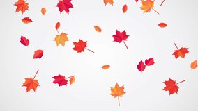 Falling Autumn Leaves animation. Looped 4k video, beautiful fall leaves move down under little wind. Autumnal mood. Can use this clip for background or overlays on your image, video project.