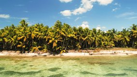 Paradise tropical island in the Caribbean sea. Panoramic view of wild exotic wild beach