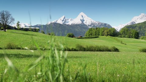 Scenic panoramic view shot of idyllic alpine mountain landscape in the Alps with blooming flowers on meadows and snow capped mountain tops in the background on a beautiful sunny morning in springtime