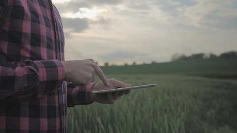 Modern male farmer with a tablet computer in a field in the evening using programs to calculate their harvest